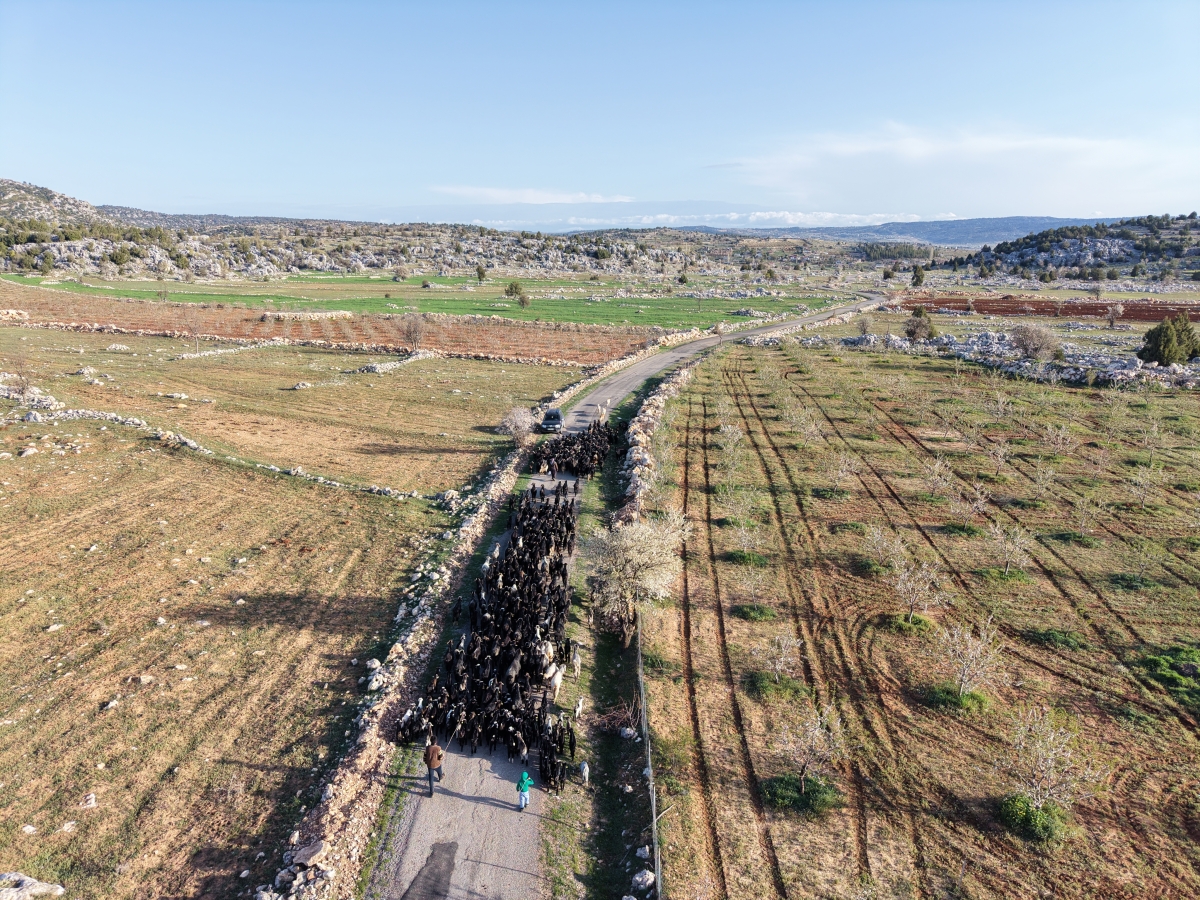 Toroslar’da Kadim Yolculuk: Sarıkeçili Yörüklerinin Yayla Göçü Başladı..